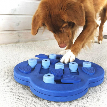 Aktivitetsspill til hunden, Nivå 2: Hide n' Slide