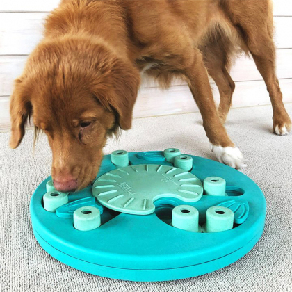 Aktivitetsspill til hunden, Nivå 3: Dog Worker