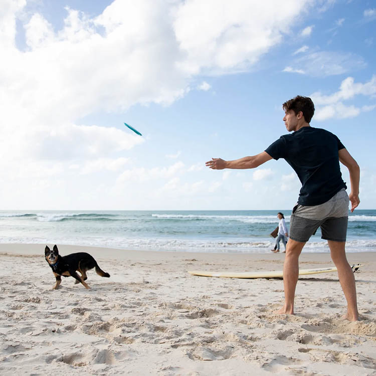 Frisbee til hunden