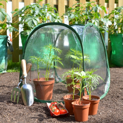 Lite drivhus for potteplanter