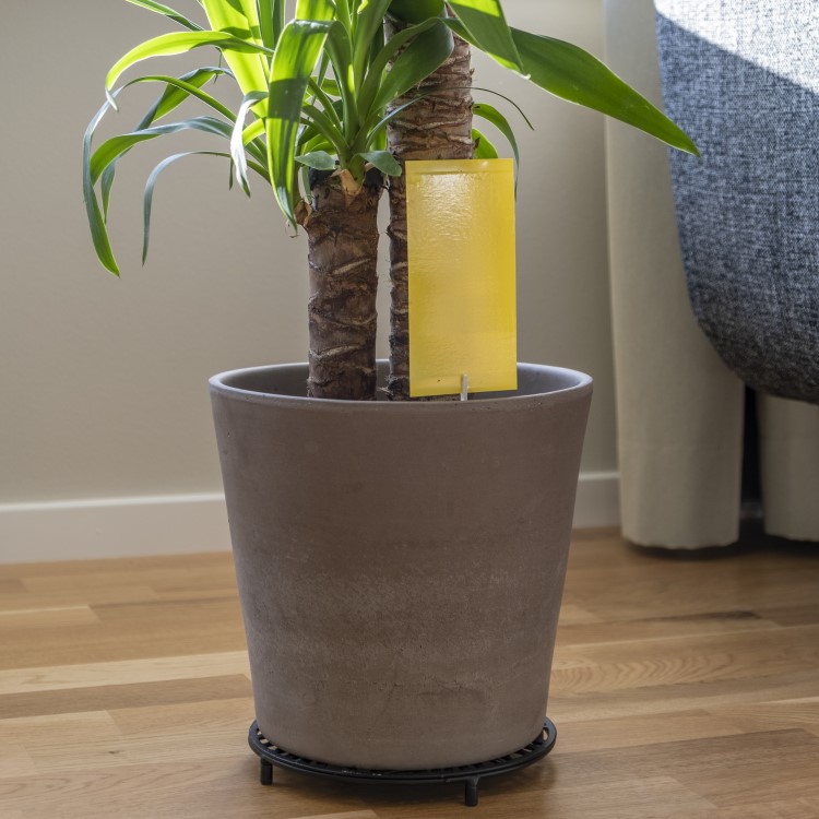 Klisterfelle til planter 12 stk., Rektangel