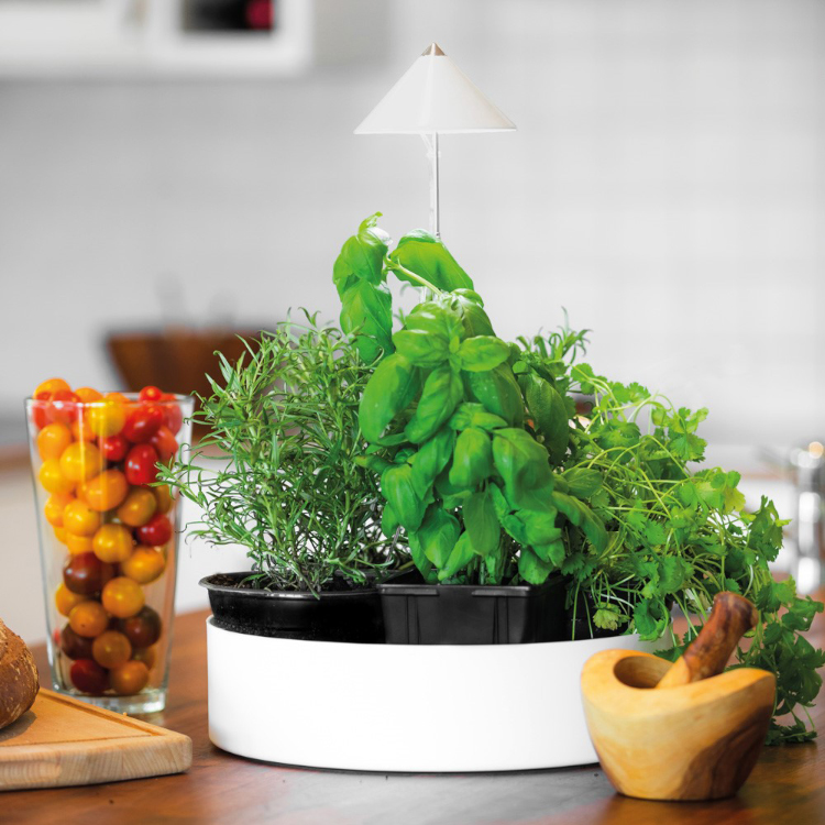 Urtekrukke med plantelys, Large