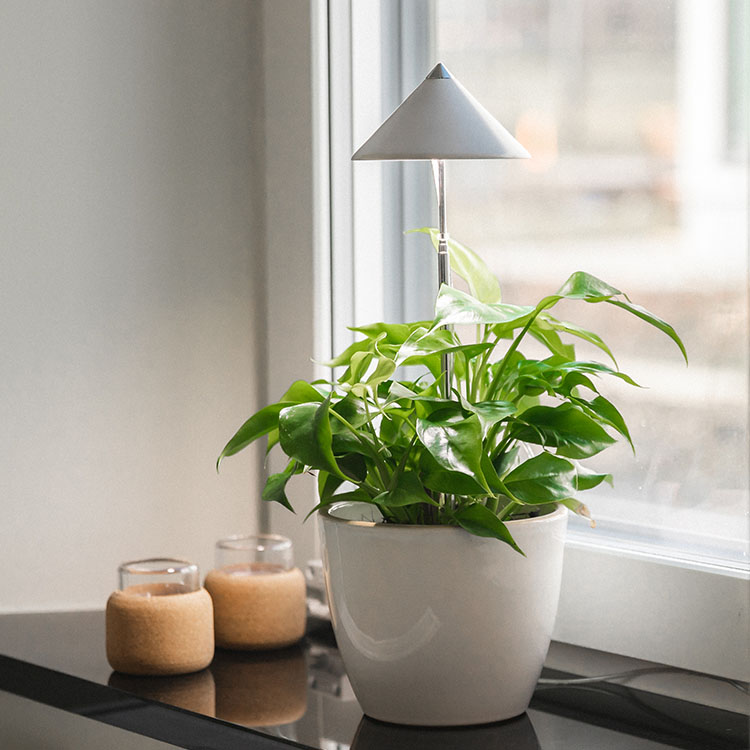 Plantelampe på stang 7W, Hvit
