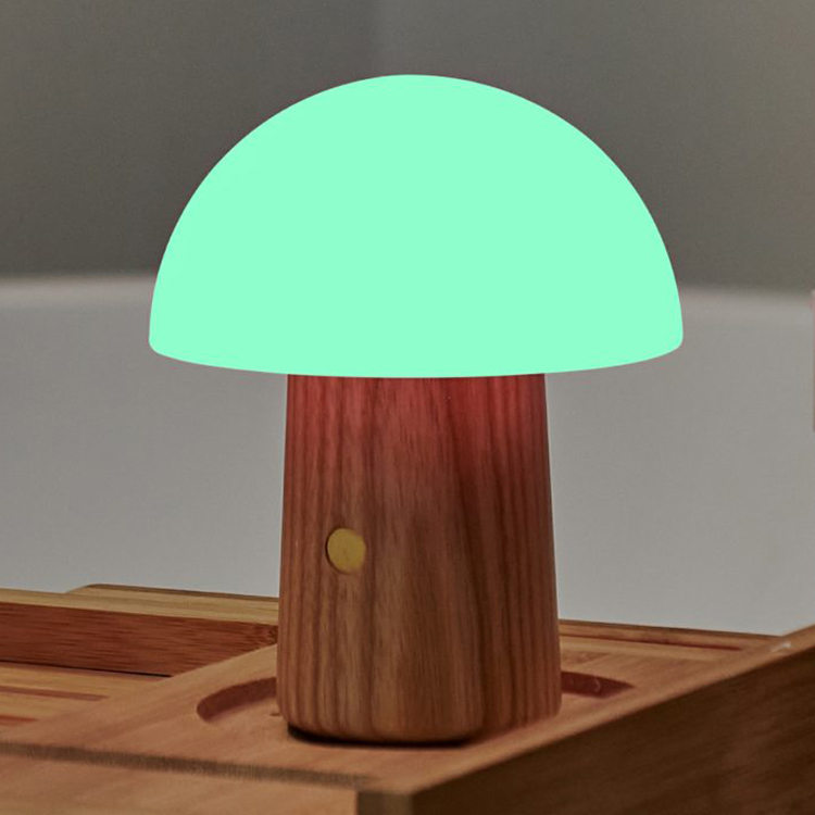 Oppladbar sopplampe, Small Ask