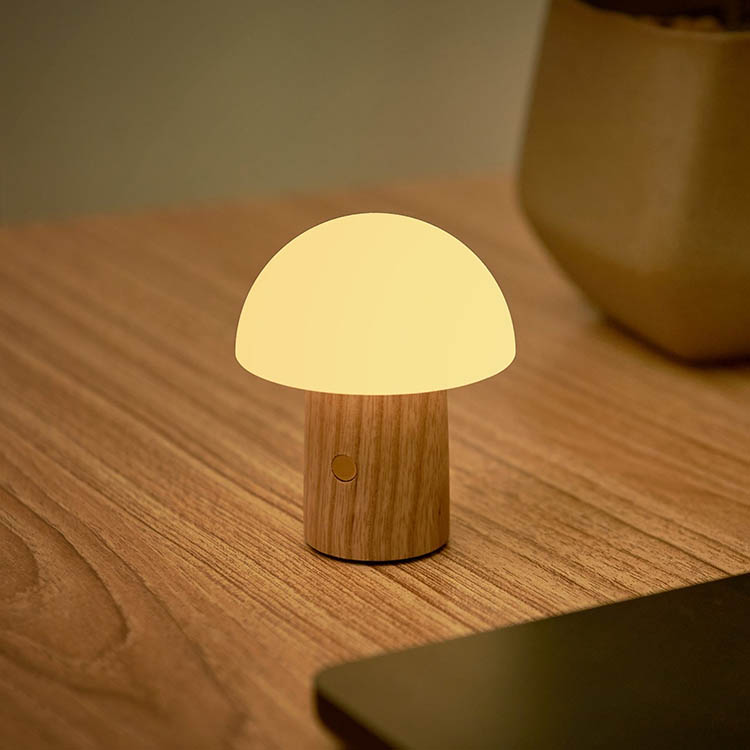 Oppladbar sopplampe, Mini Ask