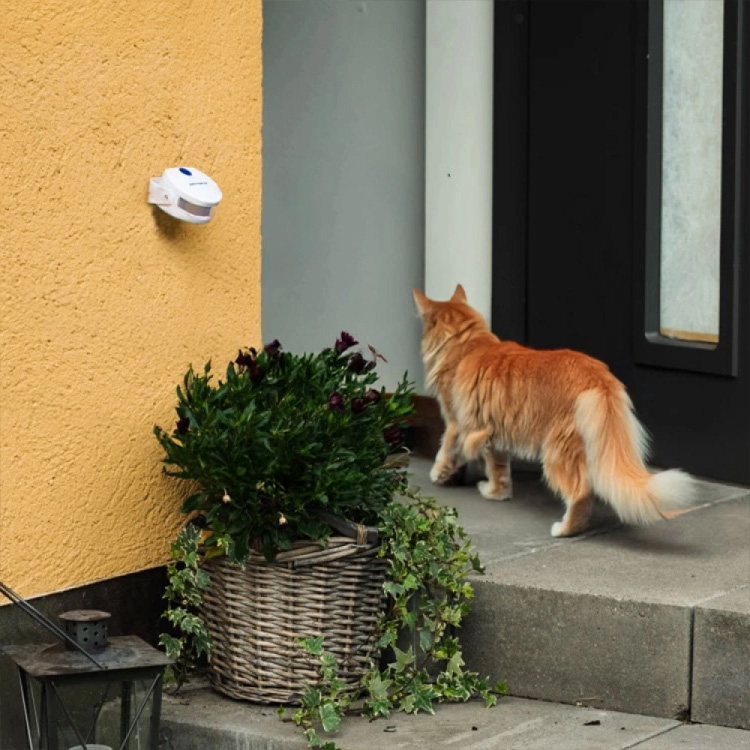 Dørklokke til katten