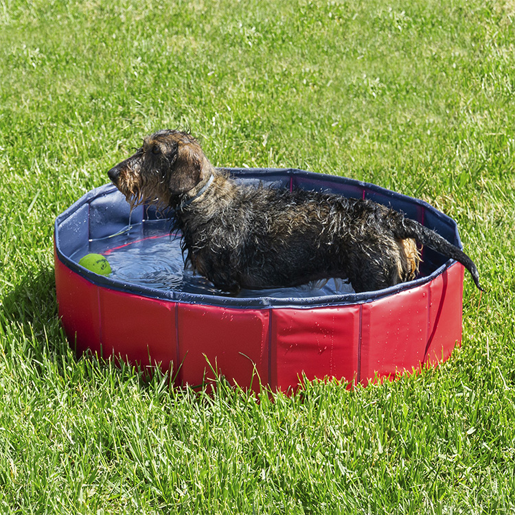 Sammenleggbart hundebasseng