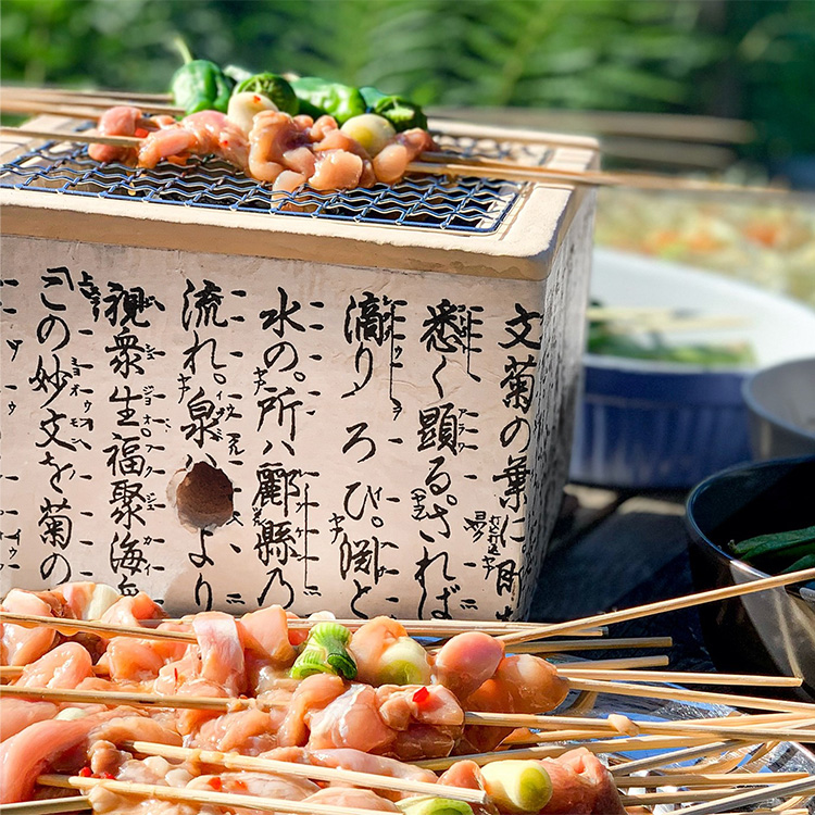 Satake bordgrill