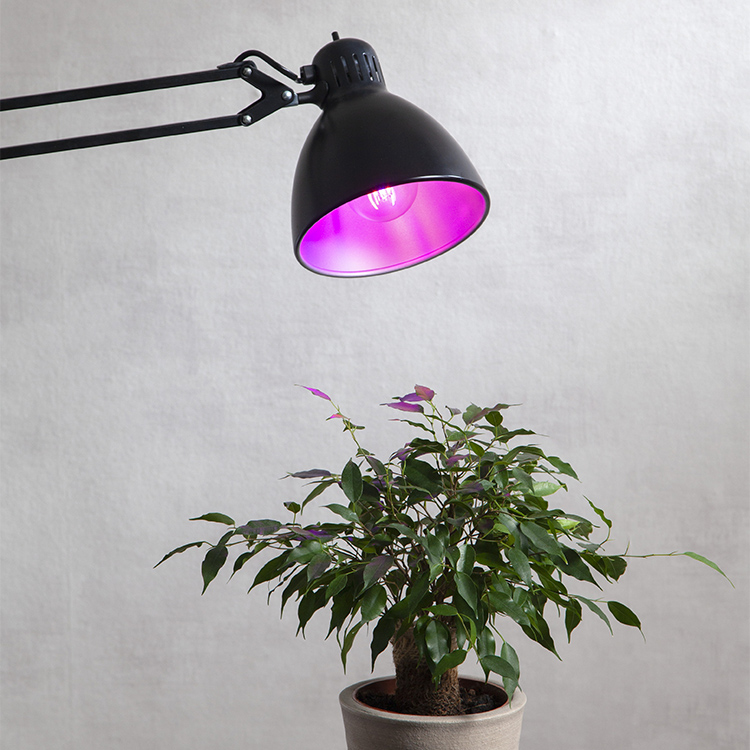 LED-lyspære til planter og dyrking