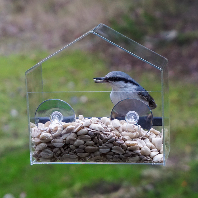 Liten fuglemater til vindu