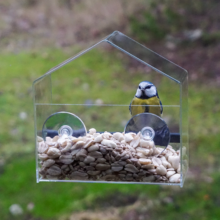 Liten fuglemater til vindu