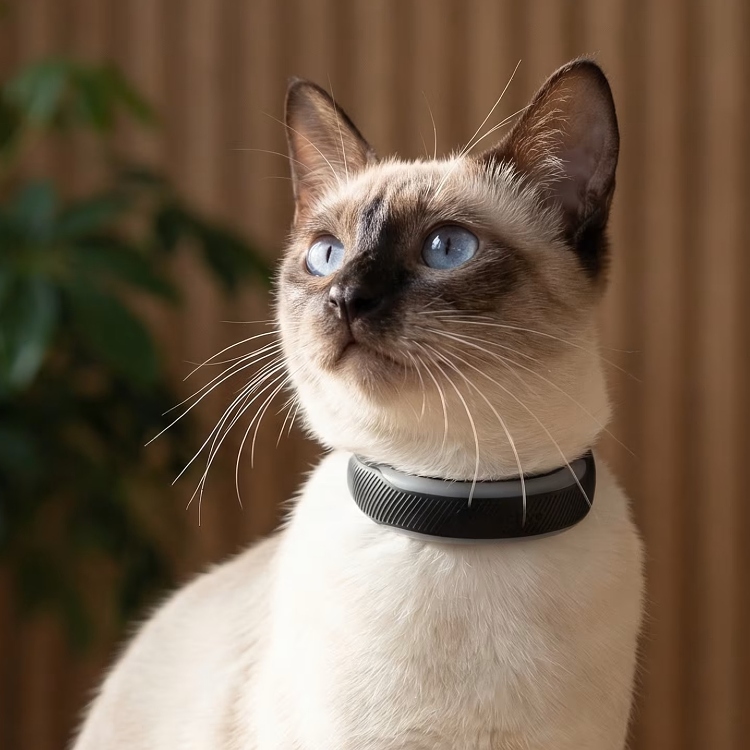 GPS til katt, Tractive
