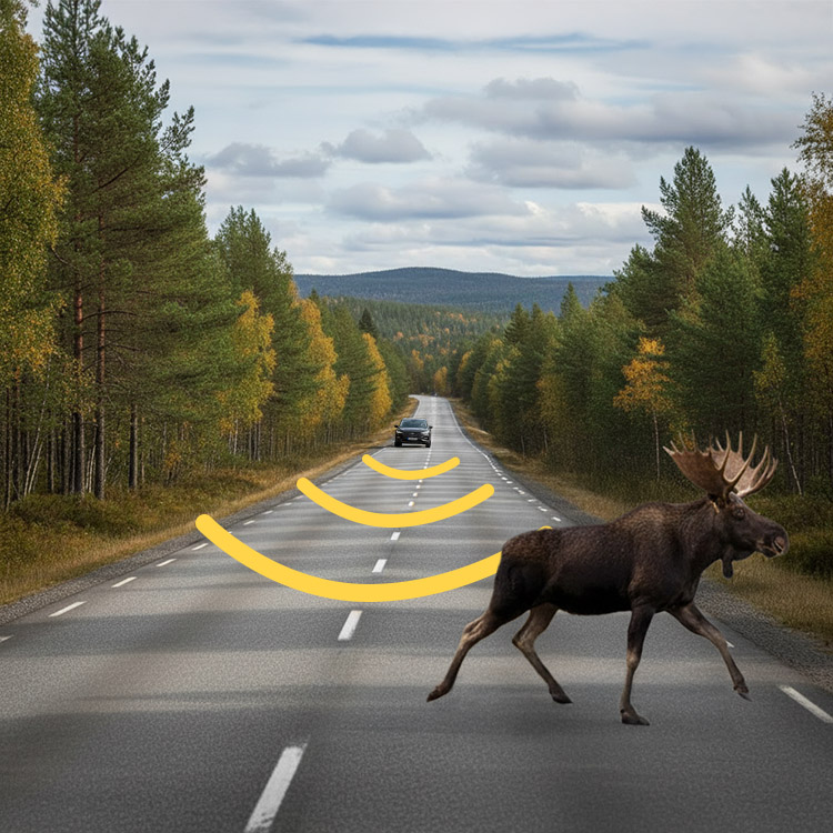 Viltvarsler til bilen