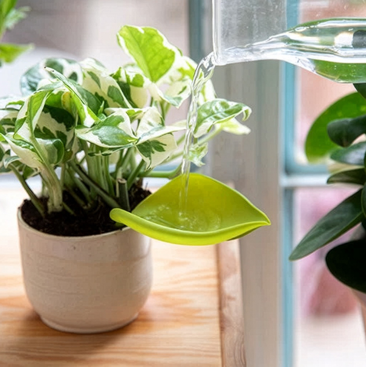 Vanningstrakt for krukke, 3-pakning