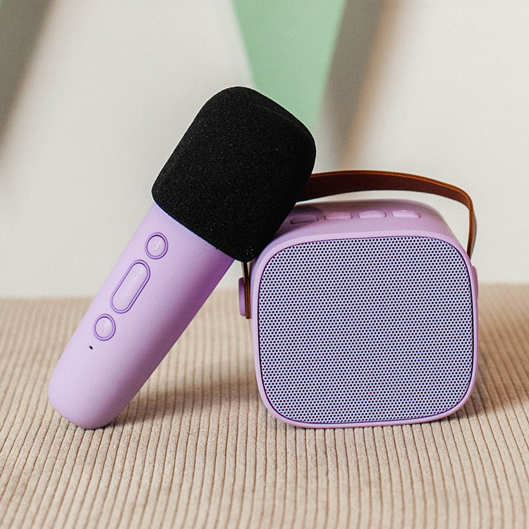 Bærbart karaokesett