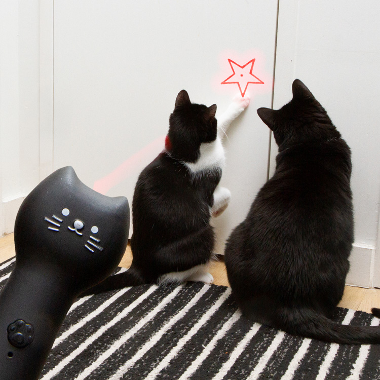 Laserpeker for katt