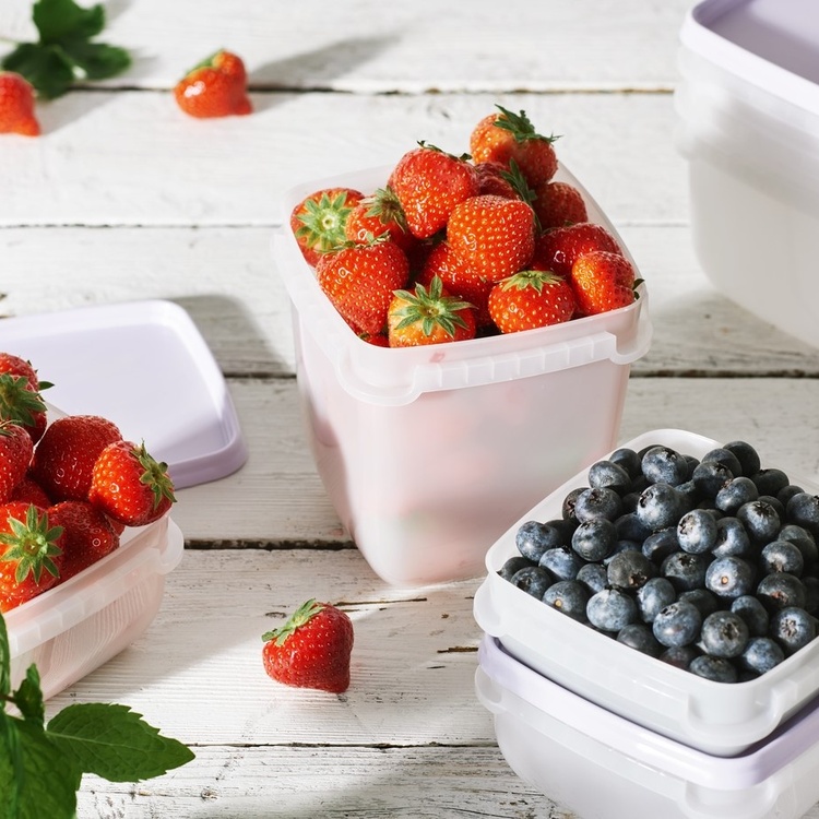 Fryseboks 1L 3-pakning, SmartStore