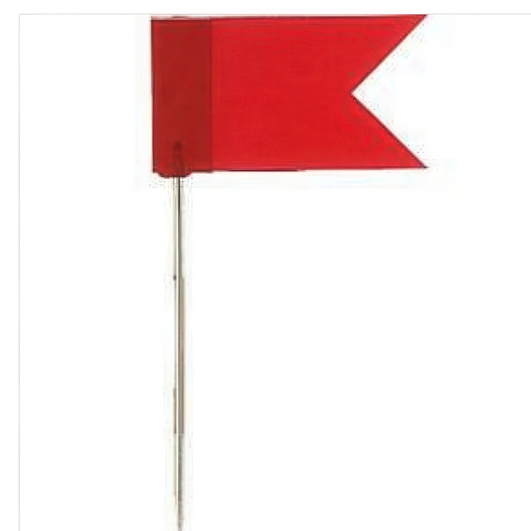 Kartnåler med flagg, 20 stk, FLAG PINS