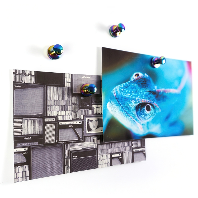 Magnet med knott 4-pack