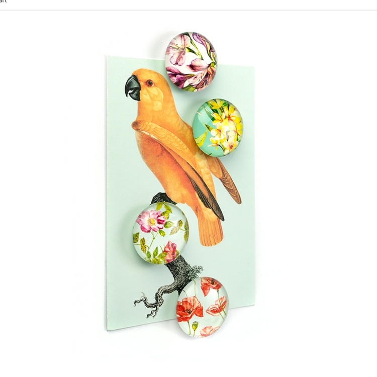 Glassmagneter 4-pack, Blomster