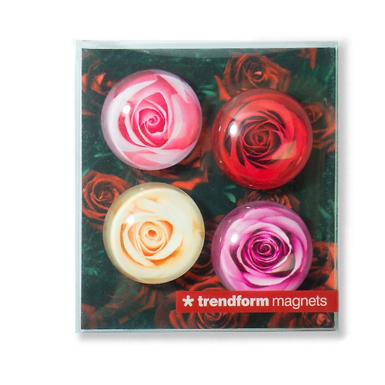Magnet i glass 4-pack, Roser