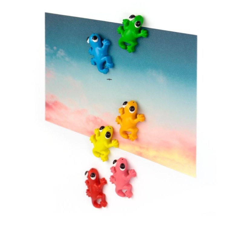 Magnetfigur 6-pakning, Øgler