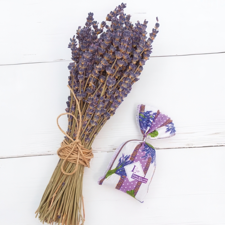 Lavendelpose fra Provence, lilla