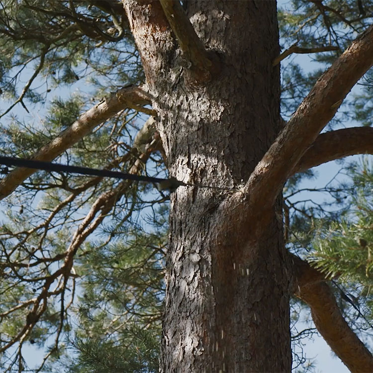 Grenkuttersett