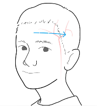 Pannetermometer Withings