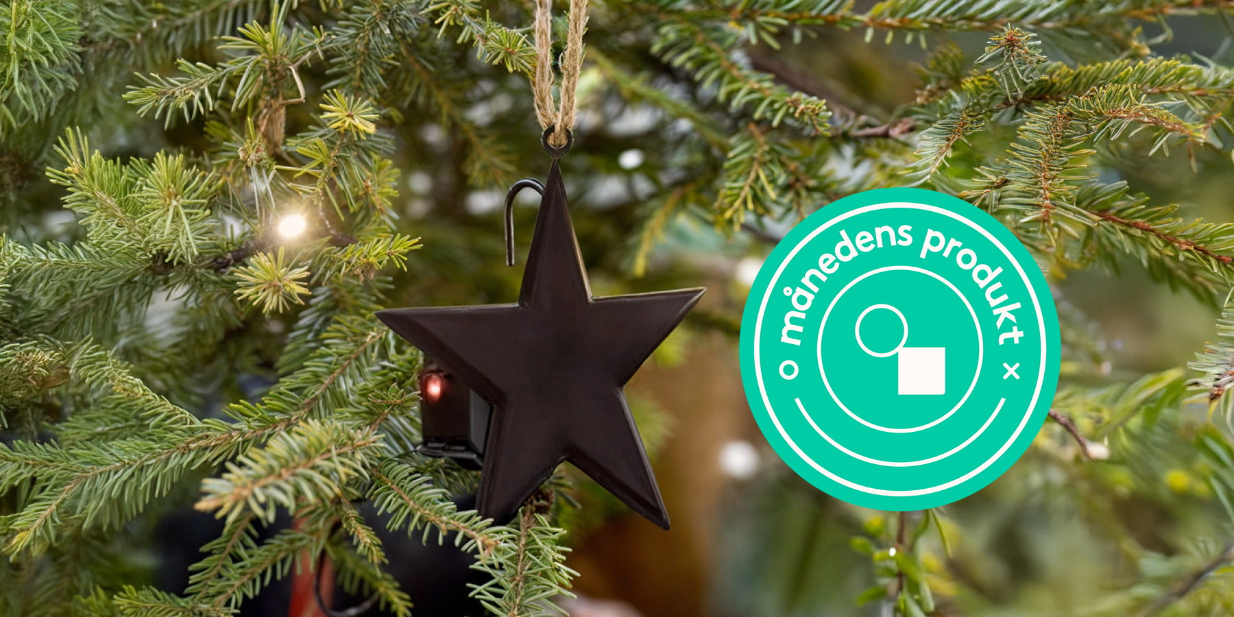 Månedens produkt: Vannsensor til juletreet 25%