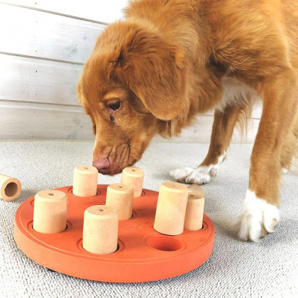 Aktivitetsspill til hunden i gruppen Fritid / Kjæledyr / Hundesaker hos SmartaSaker.se (13238)