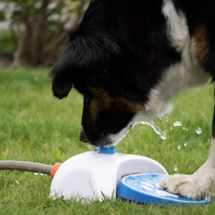 Vannfontene til hunden i gruppen Fritid / Kjæledyr / Hundesaker hos SmartaSaker.se (13269)