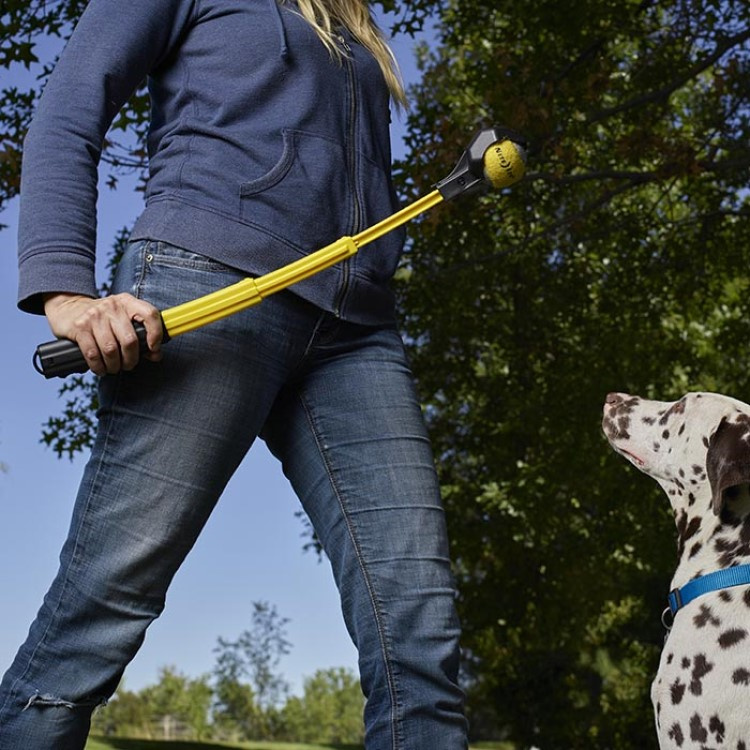 Sammenleggbar ballkaster i gruppen Fritid / Kjæledyr / Hundesaker hos SmartaSaker.se (13681)