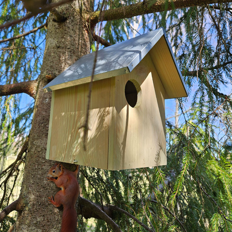 Ekornhus i gruppen Hjemmet / Hage / Hus og Hotell hos SmartaSaker.se (13820)