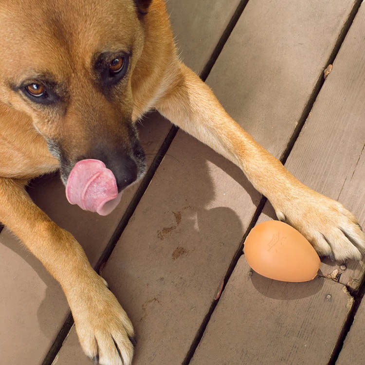 Hundeleke, sprettende egg i gruppen Fritid / Kjæledyr / Hundesaker hos SmartaSaker.se (14199)