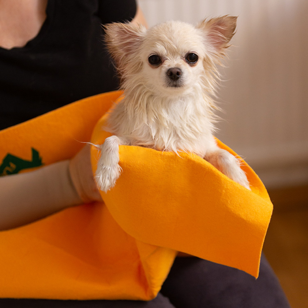 Håndkle til hunden i gruppen Fritid / Kjæledyr / Hundesaker hos SmartaSaker.se (10511)