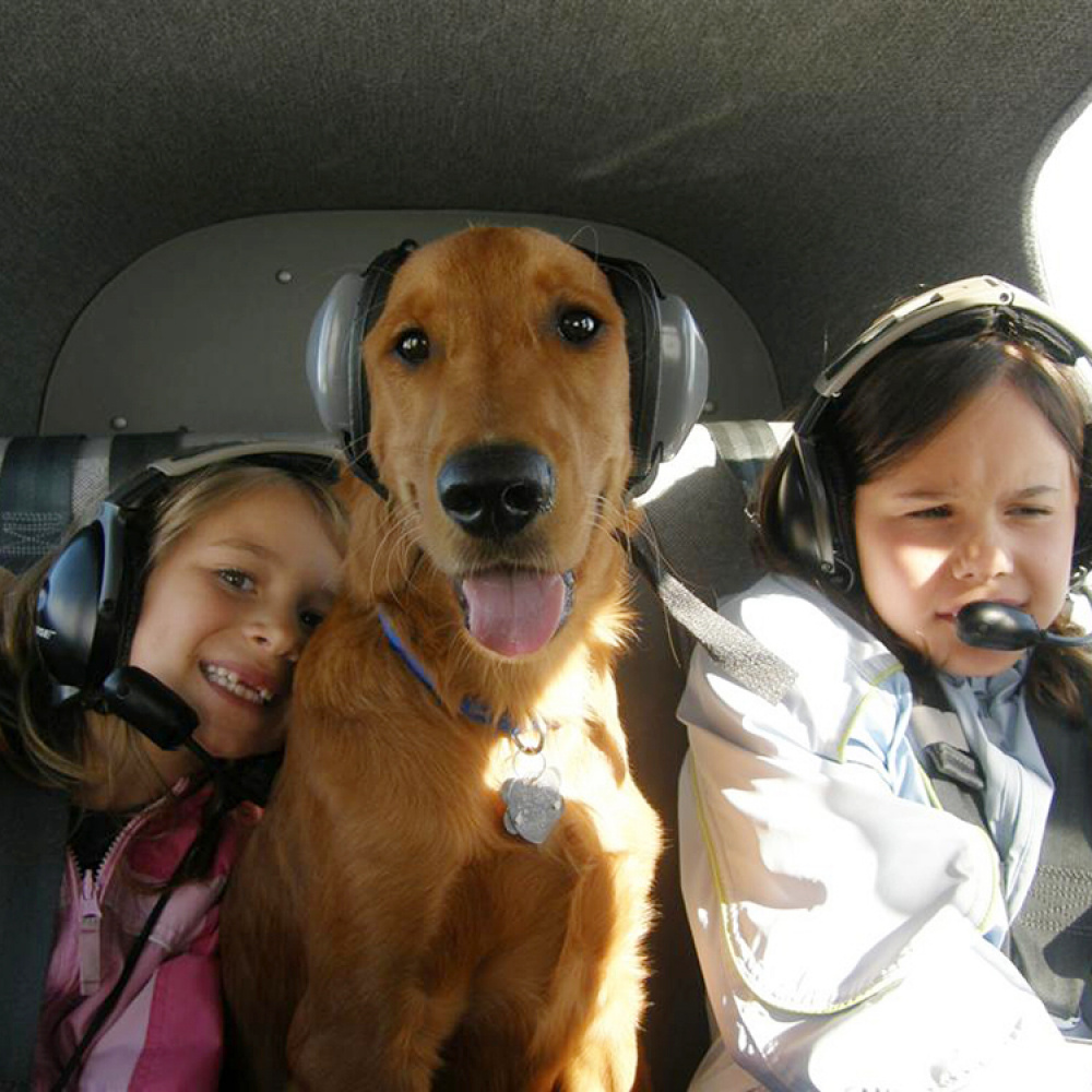 Hørselvern for hunder i gruppen Fritid / Kjæledyr / Hundesaker hos SmartaSaker.se (10806)