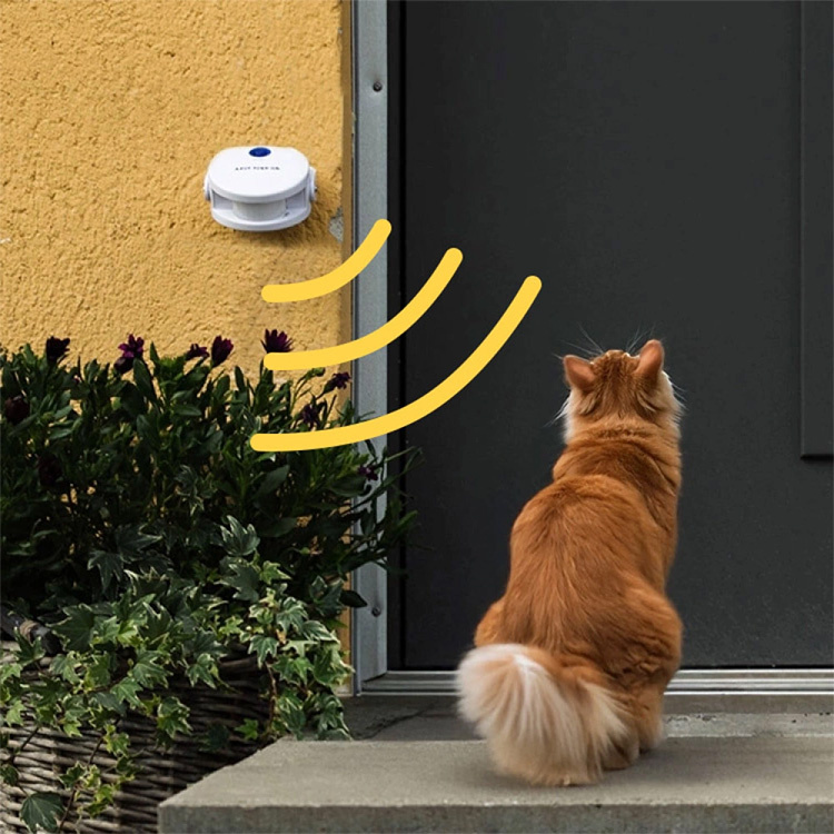 Dørklokke til katten i gruppen Fritid / Kjæledyr / Katteting hos SmartaSaker.se (10913)