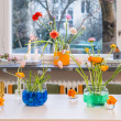 Plantekuler Plantekuler