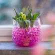 Plantekuler Plantekuler