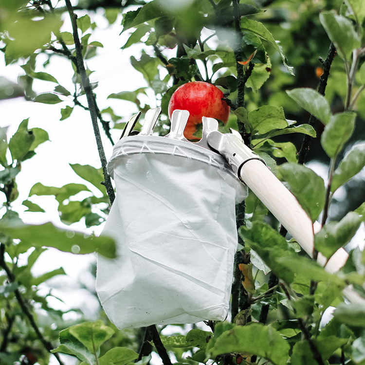 Fruktplukker i gruppen Hjemmet / Hage hos SmartaSaker.se (11525)