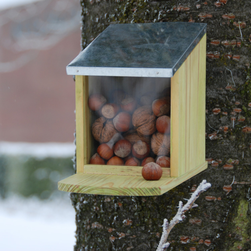 Ekornmater i gruppen Hjemmet / Hage / Hus og Hotell hos SmartaSaker.se (11820)