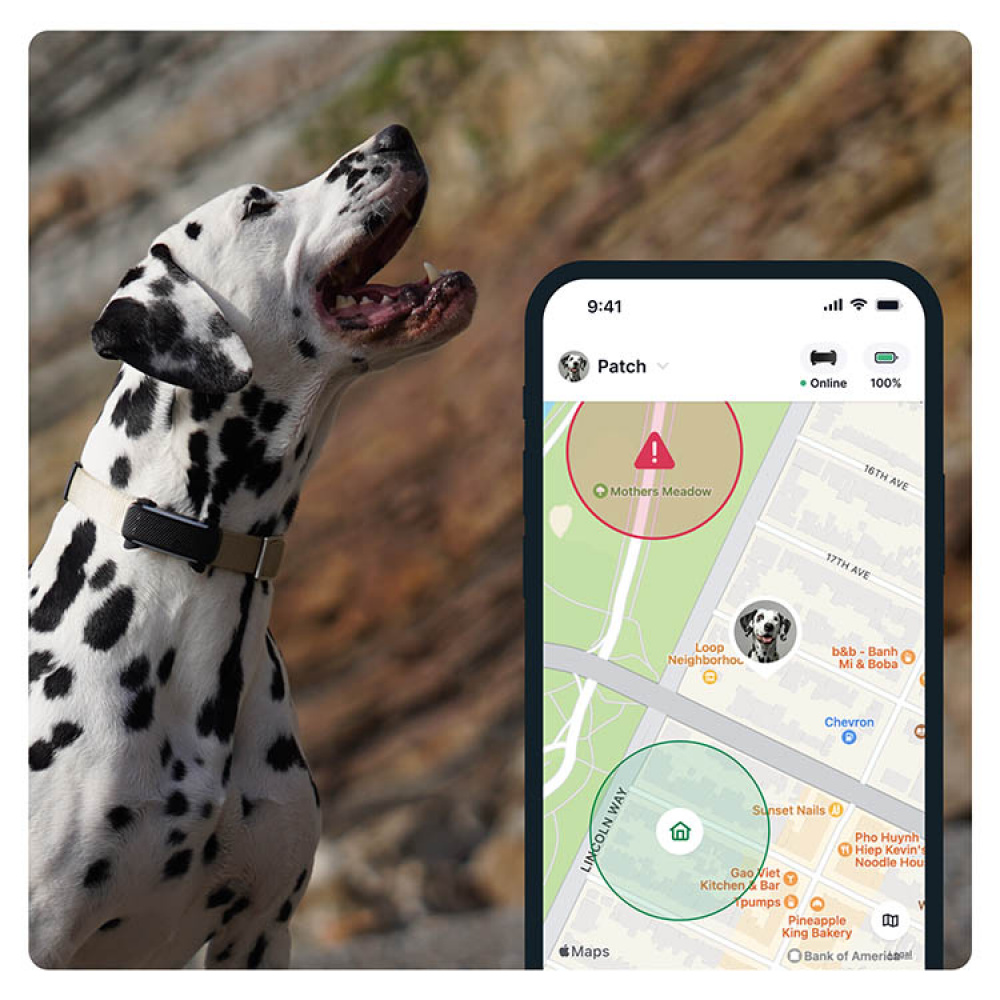 GPS til hund, Tractive i gruppen Fritid / Kjæledyr / Hundesaker hos SmartaSaker.se (11853)