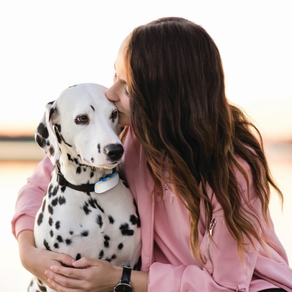 GPS til hund i gruppen Fritid / Kjæledyr / Hundesaker hos SmartaSaker.se (11853)