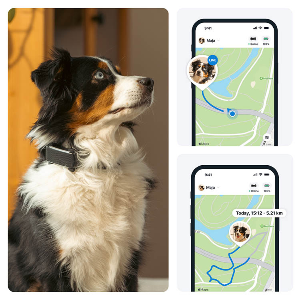 GPS til hund, Tractive i gruppen Fritid / Kjæledyr / Hundesaker hos SmartaSaker.se (11853)