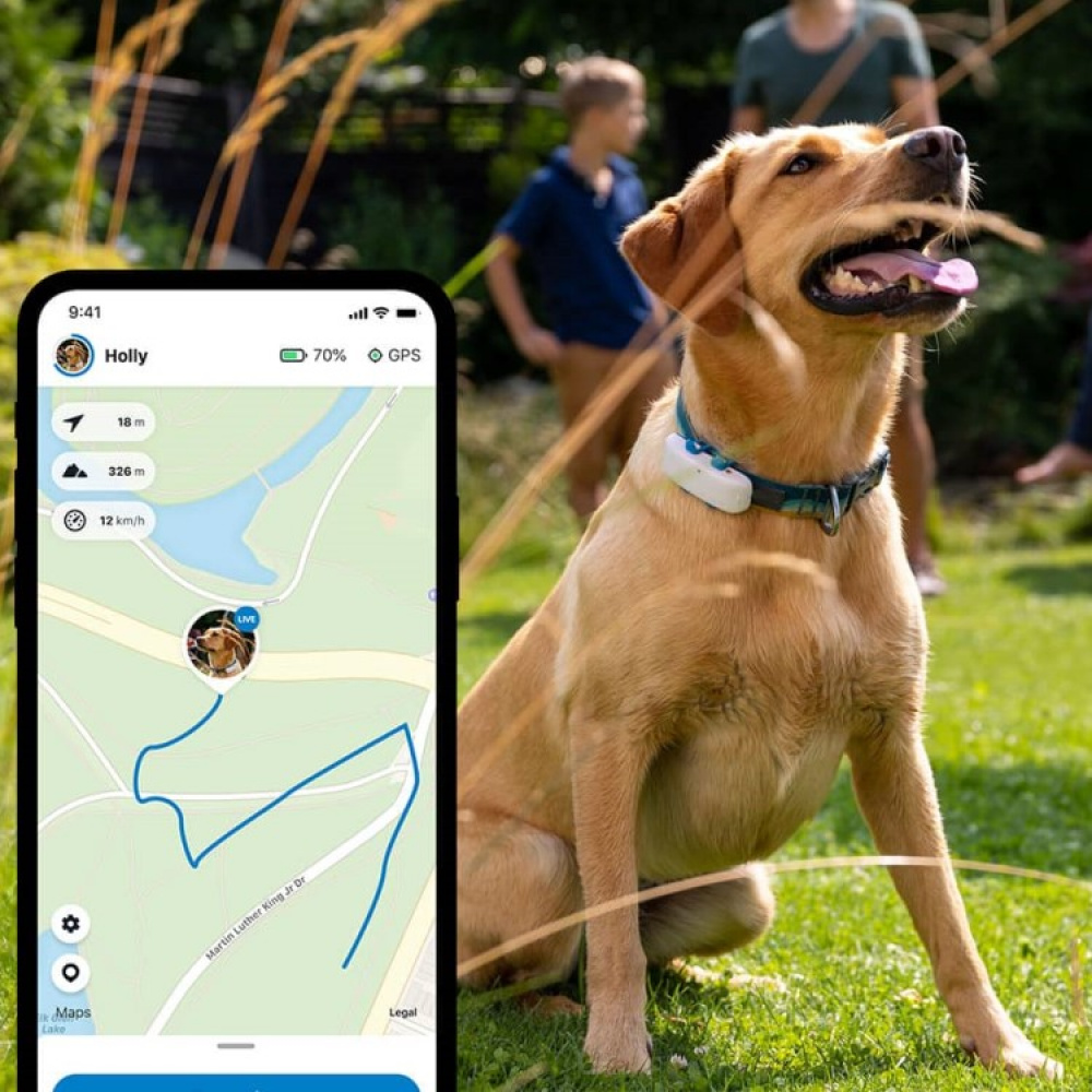 GPS til hund i gruppen Fritid / Kjæledyr / Hundesaker hos SmartaSaker.se (11853)