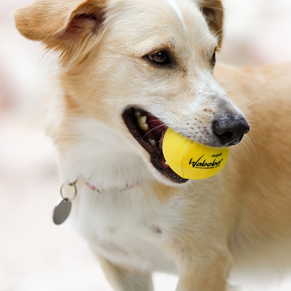 Vannsprettball til hunden i gruppen Fritid / Kjæledyr / Hundesaker hos SmartaSaker.se (12906)