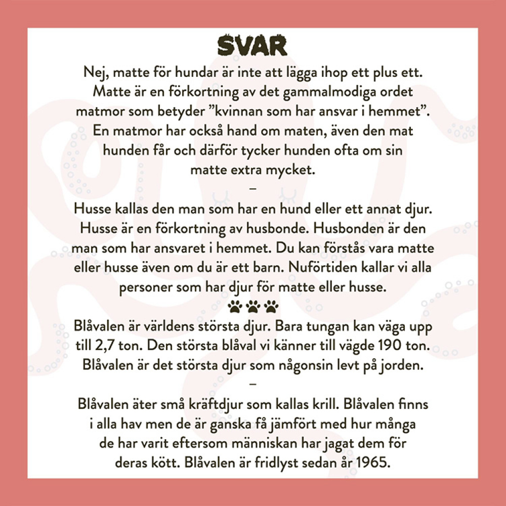 Spela mera: Alt om dyr i gruppen Fritid / Spill hos SmartaSaker.se (13018)
