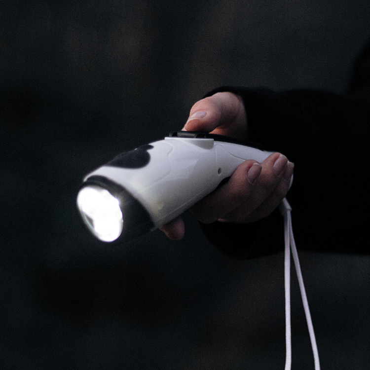 Lommelykt & radio med dynamosveiv i gruppen Sikkerhet / Kriseberedskap hos SmartaSaker.se (13154)