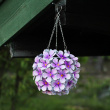 Hengende solcelledekorasjon, Hortensia Hengende solcelledekorasjon, Hortensia